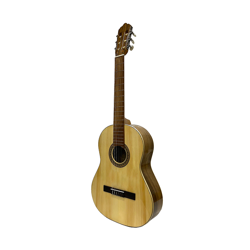 گیتار کلاسیک دوریس Doris D2